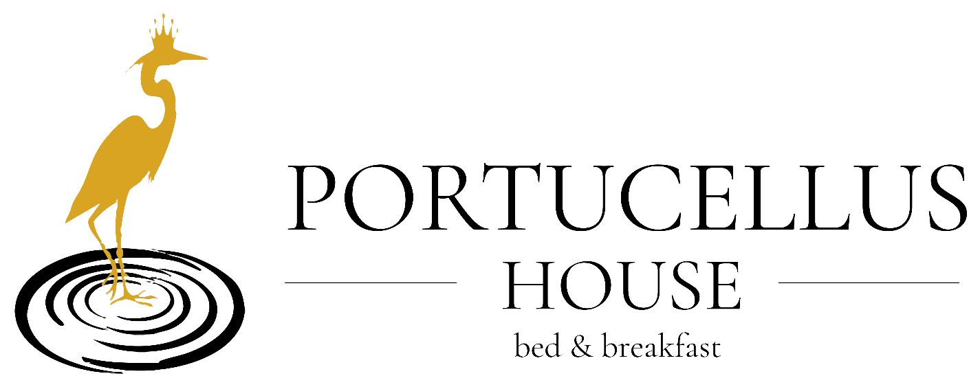 Portucellus House