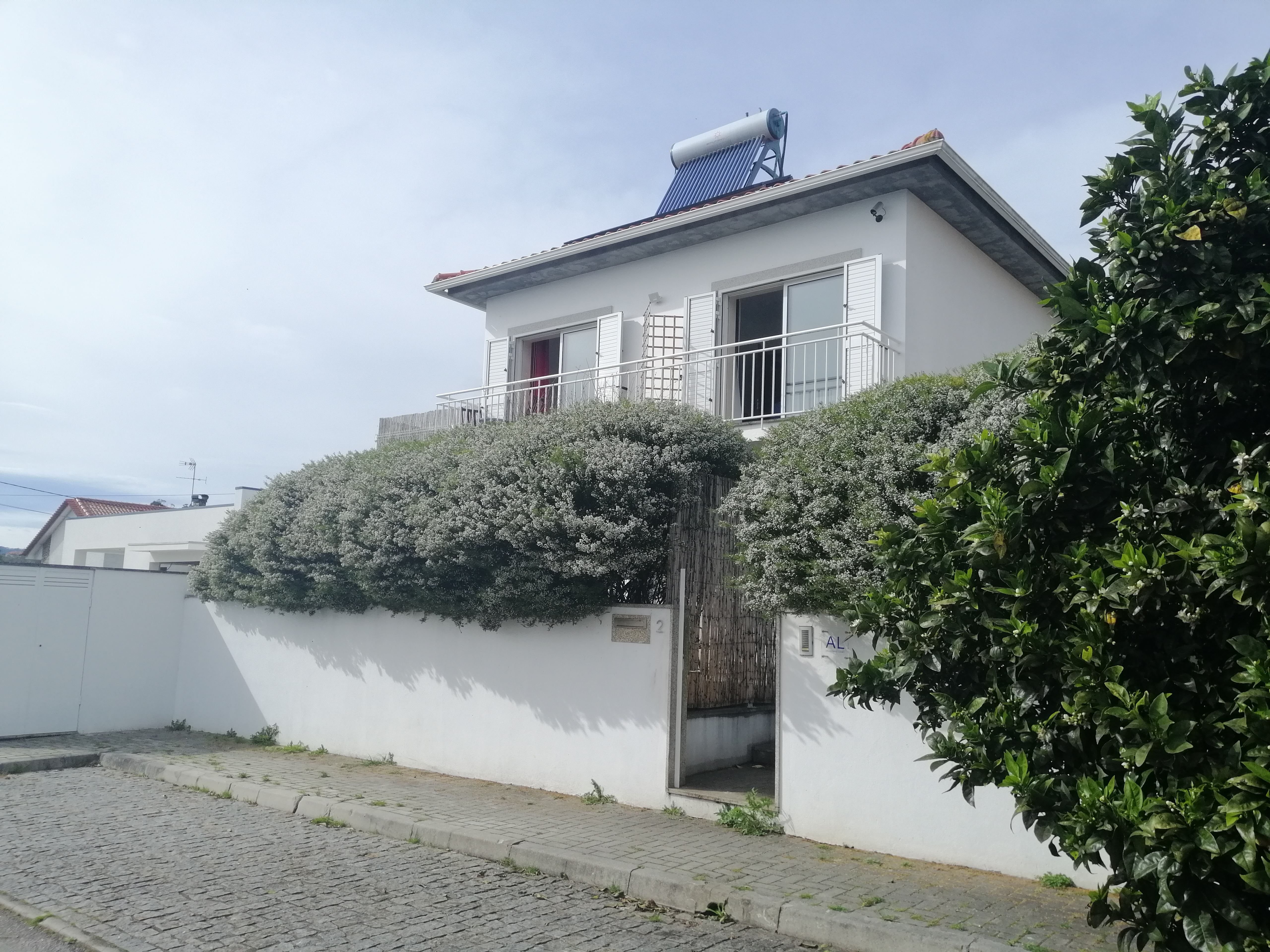Vista da fachada do Portucellus House a partir da rua, com sebe florida branca
