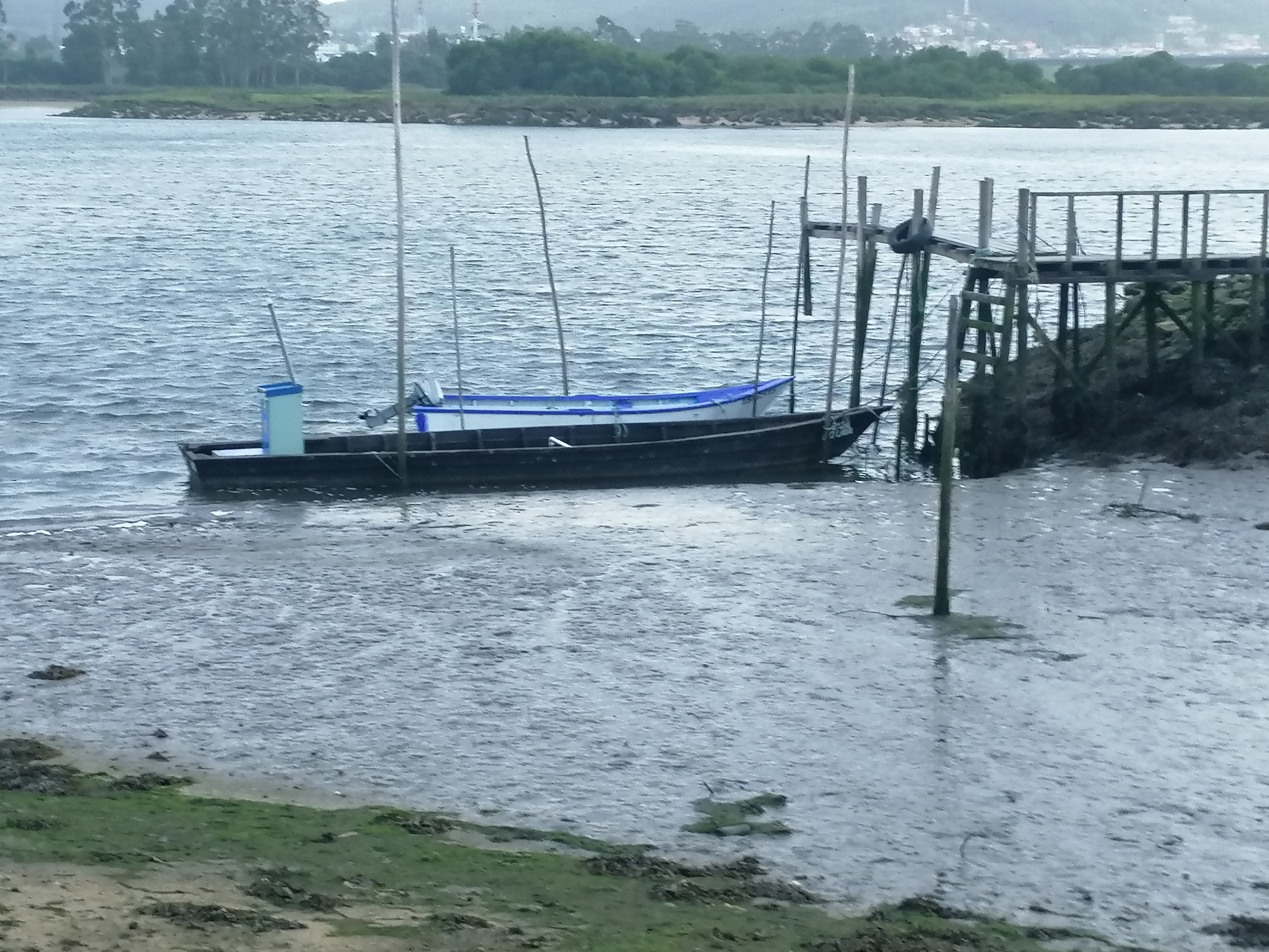 Barcas tradicionais no estuário do Rio Lima em Viana do Castelo